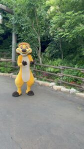 ティモン